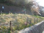 220408DSCN9464.JPG