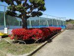 DSC00637.JPG