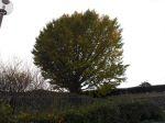 DSCN6744.JPG