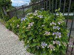 PXL_20260604_035509388.jpg